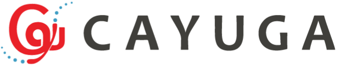 cmi_extended